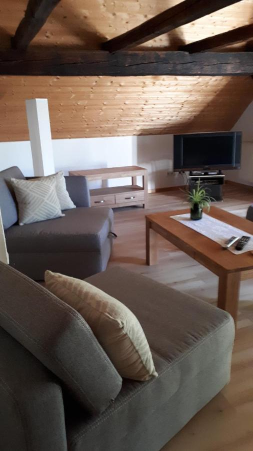 Feriendomizil Annette'S Scholle Apartment Sondershausen Bagian luar foto