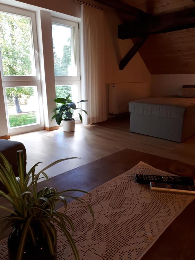 Feriendomizil Annette'S Scholle Apartment Sondershausen Bagian luar foto